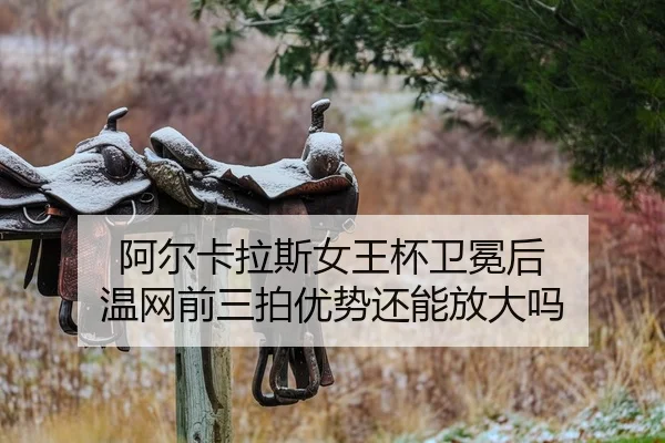 a-er-ka-la-si-nv-wang-bei-wei-mian-hou-wen-wang-qian-san-pai-you-shi-hai-neng-fang-da-ma-2-271.jpg