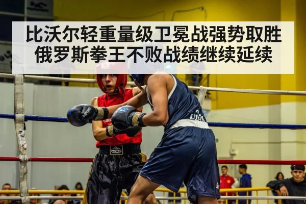 比沃尔轻重量级卫冕战强势取胜 俄罗斯拳王不败战绩继续延续