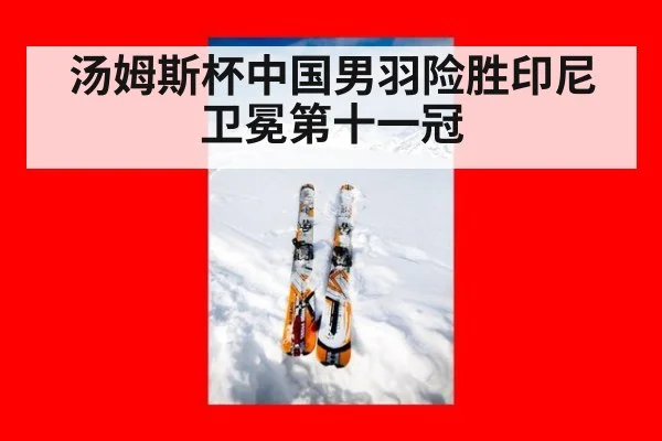 汤姆斯杯中国男羽险胜印尼卫冕第十一冠
